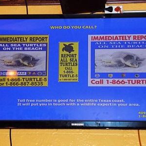 Aug 2015 - Who you gonna call?