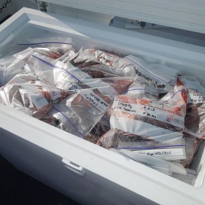 Conveniently packaged to go