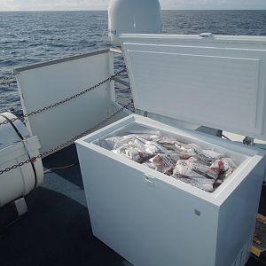 freezer full o' fish