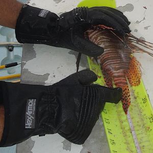 These gloves must be bulletproof