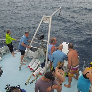 Hmmm, who's not back on the boat?