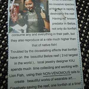 back of the card