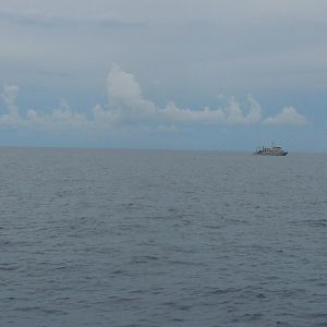 Manta on the horizon