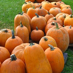 October