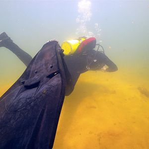 Bigfoot is alive and diving in the Blue Lagoon