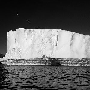 Iceberg