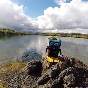 Diver Beastie post dive