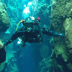 Birddog keeps the continents in touch