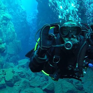 Birddog is feeling more than just OK