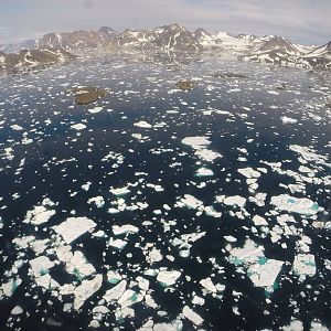 Icebergs as far as the eye can see