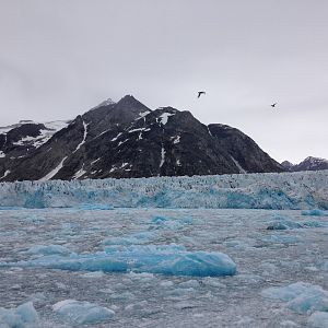 IMG_0740