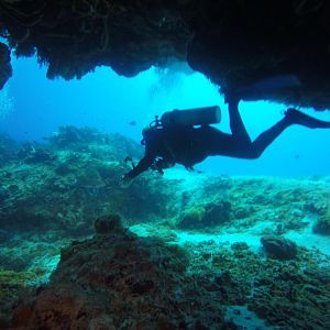 KJenn Divers exiting a swim through