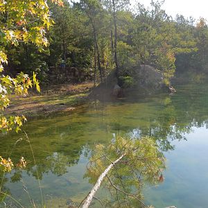 fall at BL