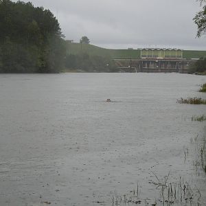 upstream