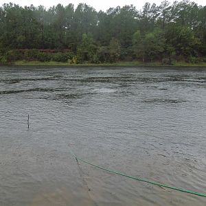 fishing for divers