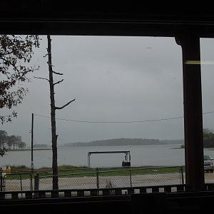lunchtime view