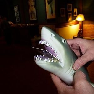Gift card bearing shark