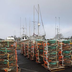 ready for crabbing