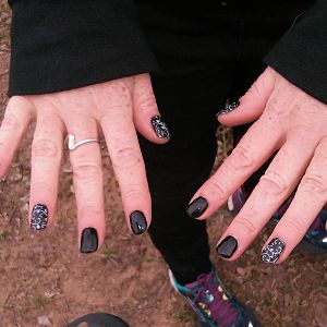birddog's fancy nails