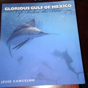 Jan 2016 - Glorious Gulf of Mexico by Jesse Cancelmo
