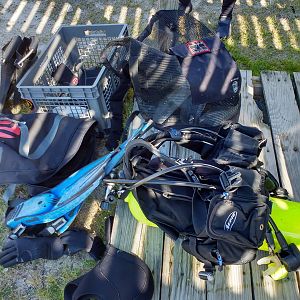 Dappled gear