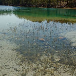 IMG_20160206_114509941