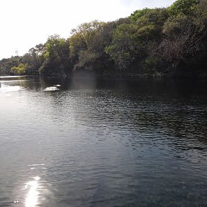 Spring Lake