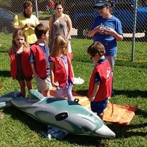 Kids 'rescuing' stranded dolphin