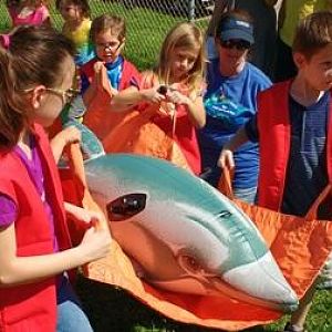 IMG_20160312_110815408