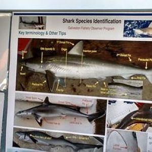 Exhibits galore