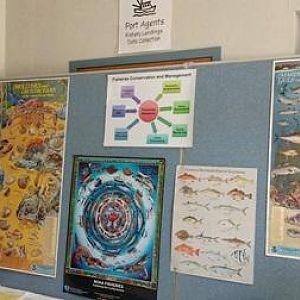 IMG_20160312_112715122