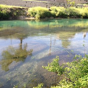 Comal clear