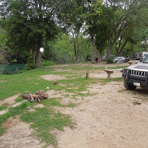 not your typical Comal trip Saturday