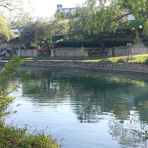 Comal River