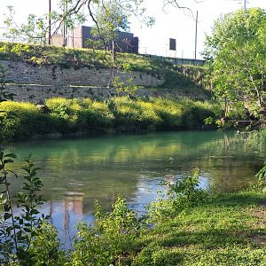 Comal River - nice and clean