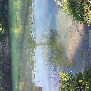 Nice New Step Entry into the Comal