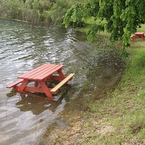 The water level is up a bit at 288 Lake