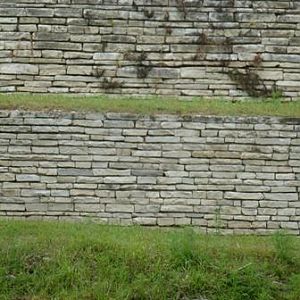 The ass of one and the head of another..wait, what?