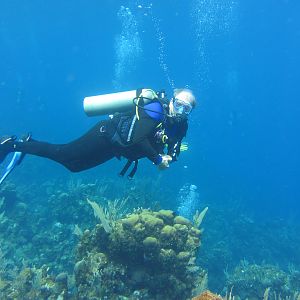 K-jenn Divers Reef Inspection
