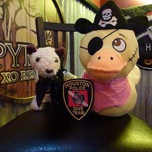 June 2016 - We're official