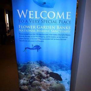 Welcome indeed!