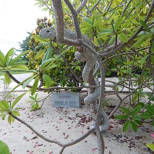 Davinoff's Concrete Sculptures