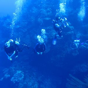 More Chum exploration