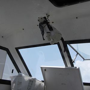 Wet manages the boat