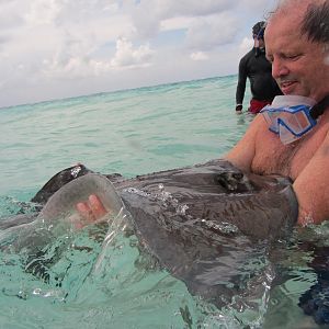 KJenn Divers - Stingray whisperer