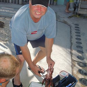 Alan cleaning some lionfish