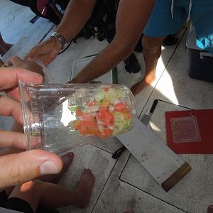 freshest ceviche ever