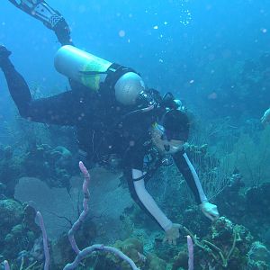 snipping coral