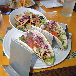 lionfish tacos