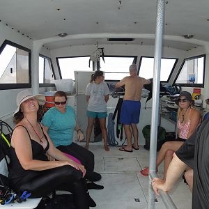 Hanging out on the Ocean Hawk